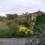 Kirayə (aylıq) 4 otaqlı Bağ evi, Goradil, Abşeron rayonu 16