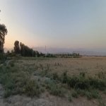 Satılır Torpaq Qəbələ 9