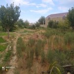 Satılır Torpaq, Saray, Abşeron rayonu 1