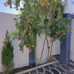 Satılır 4 otaqlı Həyət evi/villa, Binə qəs., Xəzər rayonu 10