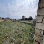 Satılır Torpaq, Goradil, Abşeron rayonu 6
