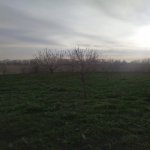 Satılır 10 otaqlı Həyət evi/villa Xaçmaz 20