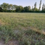 Satılır Torpaq Şəki 9