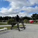 Satılır 4 otaqlı Yeni Tikili, Bulvar, Xətai rayonu 24