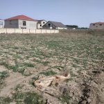 Satılır Torpaq, Goradil, Abşeron rayonu 1