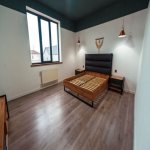 Kirayə (günlük) 4 otaqlı Həyət evi/villa, Türkan, Xəzər rayonu 22