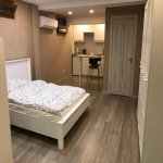Kirayə (aylıq) 1 otaqlı Köhnə Tikili, Sahil metrosu, Səbail rayonu 3