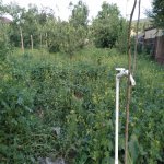Kirayə (günlük) 3 otaqlı Həyət evi/villa Quba 12
