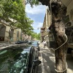 Аренда Объект, м. Ичяришяхяр метро, Сябаиль район 6