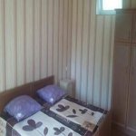Kirayə (günlük) 4 otaqlı Bağ evi Qəbələ 3