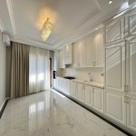 Продажа 4 комнат Новостройка, м. 28 Мая метро, Насими район 12