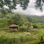 Kirayə (günlük) 5 otaqlı Bağ evi İsmayıllı 6
