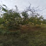 Satılır Torpaq, Sabunçu rayonu 8