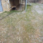 Продажа Участок, м. Эльмляр Академиясы метро, пос. Бадамдар, Сябаиль район 2