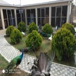 Satılır 8 otaqlı Bağ evi, Novxanı, Abşeron rayonu 9