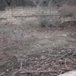 Satılır Torpaq Xızı 4