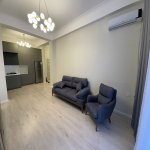 Kirayə (aylıq) 2 otaqlı Yeni Tikili, 28 May metrosu, Nəsimi rayonu 5