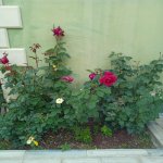 Satılır 7 otaqlı Həyət evi/villa, Mehdiabad, Abşeron rayonu 24
