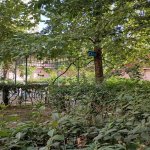 Kirayə (aylıq) 4 otaqlı Yeni Tikili, 8-ci mikrorayon, Binəqədi rayonu 16
