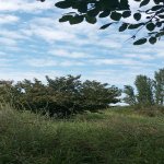 Satılır Torpaq Xaçmaz / Xudat 2