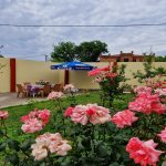 Kirayə (günlük) 4 otaqlı Həyət evi/villa Şəki 3
