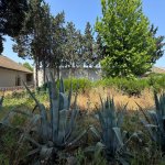 Satılır Torpaq, Mərdəkan, Xəzər rayonu 6