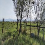 Продажа Участок Хачмаз 23