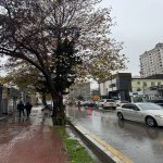 Kirayə (aylıq) Obyekt, Gənclik metrosu, Nəsimi rayonu 1