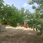 Satılır Obyekt, Novxanı, Abşeron rayonu 4