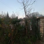 Satılır 4 otaqlı Həyət evi/villa Lənkəran 4