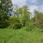 Satılır Torpaq Qusar 2