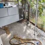 Аренда 5 комнатная Офис, м. Гянджлик метро, пос. Боюкшор , Наримановский р-н район 10