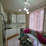 Kirayə (aylıq) 2 otaqlı Yeni Tikili, Memar Əcəmi metrosu, Nəsimi rayonu 8