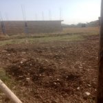 Satılır Torpaq Ağsu 4