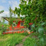 Kirayə (günlük) 2 otaqlı Həyət evi/villa İsmayıllı 4