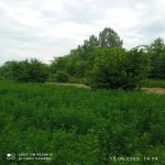 Продажа Участок Огуз 4