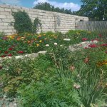 Kirayə (günlük) 2 otaqlı Bağ evi İsmayıllı 4