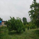 Satılır Torpaq Qusar 2