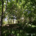 Satılır 3 otaqlı Həyət evi/villa İsmayıllı 21