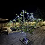 Kirayə (günlük) 2 otaqlı Həyət evi/villa Qəbələ 6