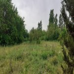 Satılır 4 otaqlı Həyət evi/villa Salyan 13
