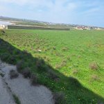 Satılır Torpaq, Novxanı, Abşeron rayonu 11