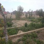 Satılır 8 otaqlı Həyət evi/villa, Saray, Abşeron rayonu 12