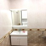 Kirayə (aylıq) 2 otaqlı Yeni Tikili, Gənclik metrosu, Gənclik Mall, Nərimanov rayonu 10