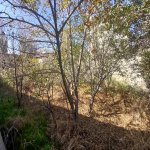 Satılır 5 otaqlı Həyət evi/villa, Novxanı, Abşeron rayonu 6