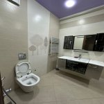 Kirayə (aylıq) 3 otaqlı Yeni Tikili, Nəriman Nərimanov metrosu, Heydər Əliyev Mərkəzi, Nərimanov rayonu 11