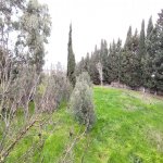 Satılır Torpaq, Nardaran qəs., Sabunçu rayonu 10