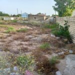 Продажа Участок, м. Короглу метро, пос. Нардаран, Сабунчу район 5
