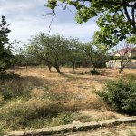 Satılır Torpaq, Saray, Abşeron rayonu 12