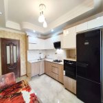 Kirayə (aylıq) 3 otaqlı Yeni Tikili, Nəriman Nərimanov metrosu, Heydər Əliyev Mərkəzi, Nərimanov rayonu 16